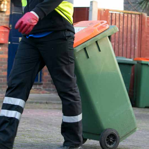 Bin bin