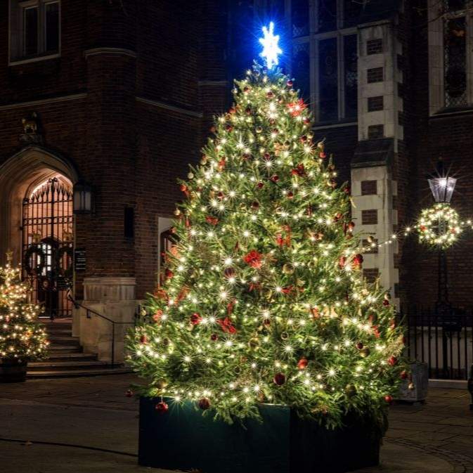 Christmas tree switch on1