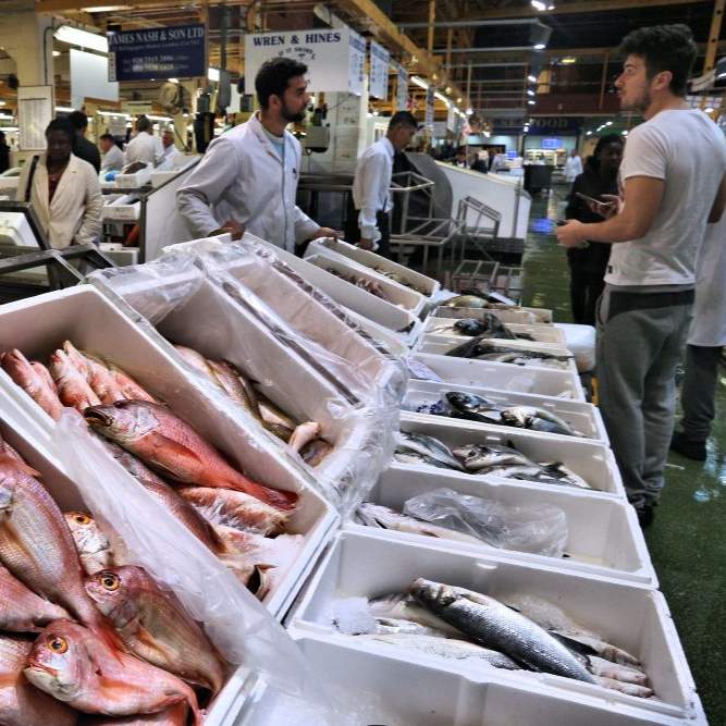 billingsgate market 31