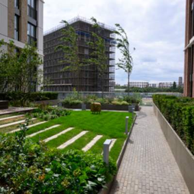 TwelveTrees image3