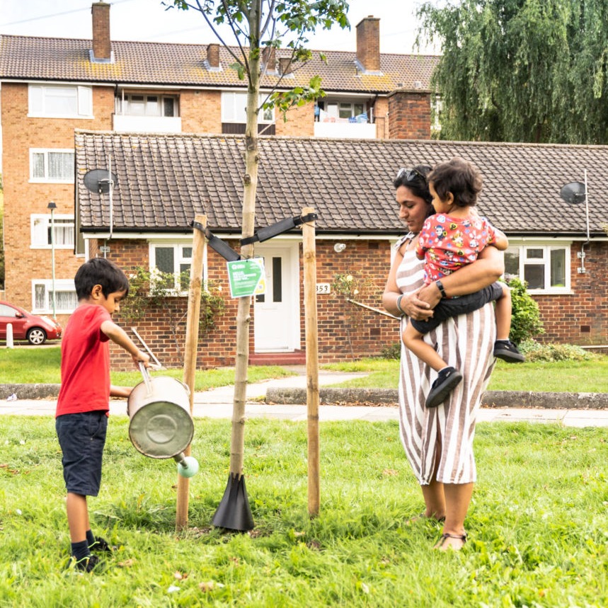 Trees for Streets image