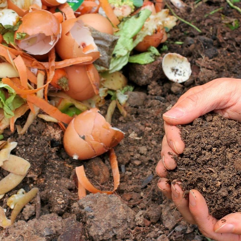 Compost SQ