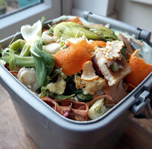 Food recycling