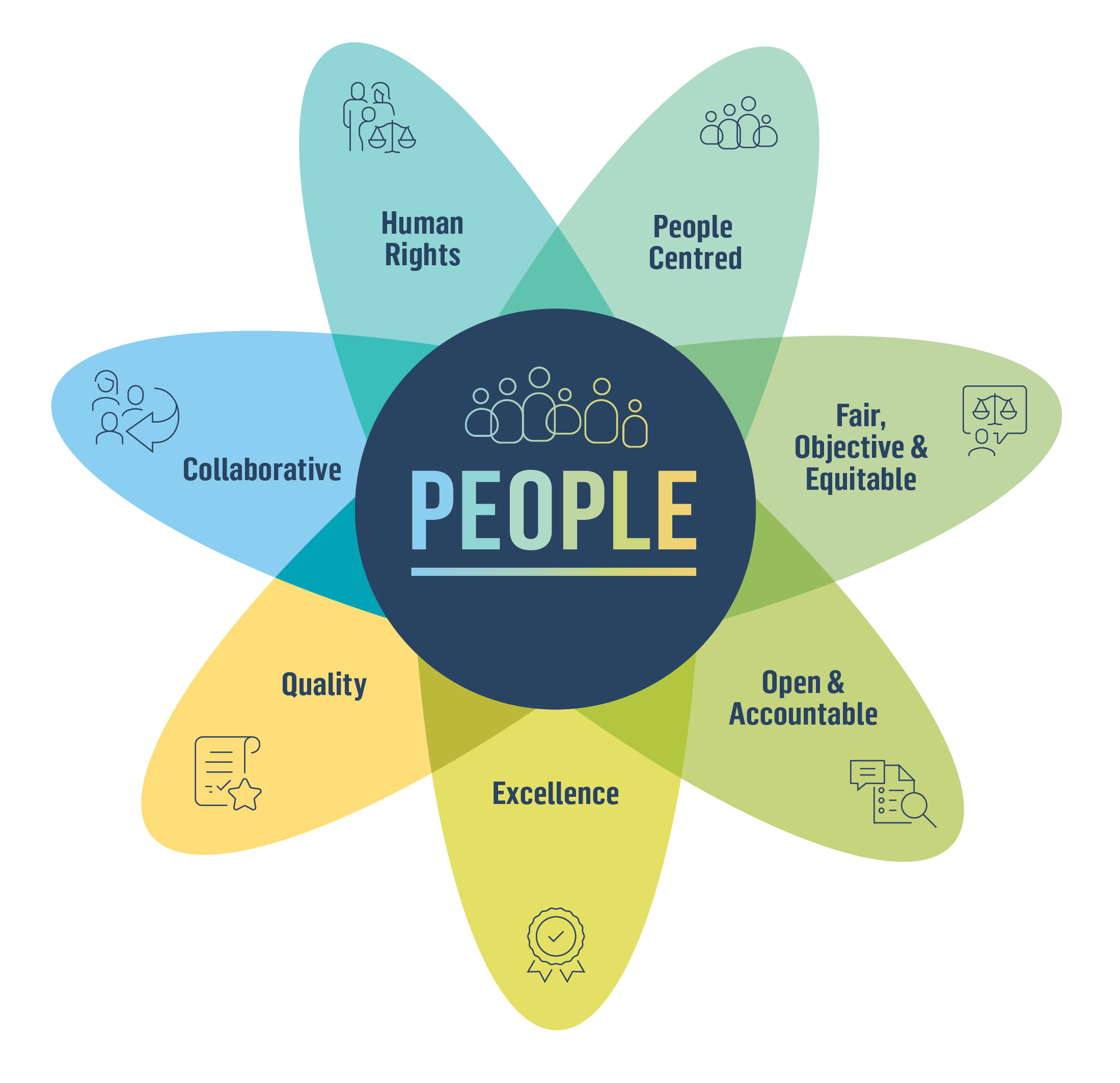 HIQA CP Values graphic2