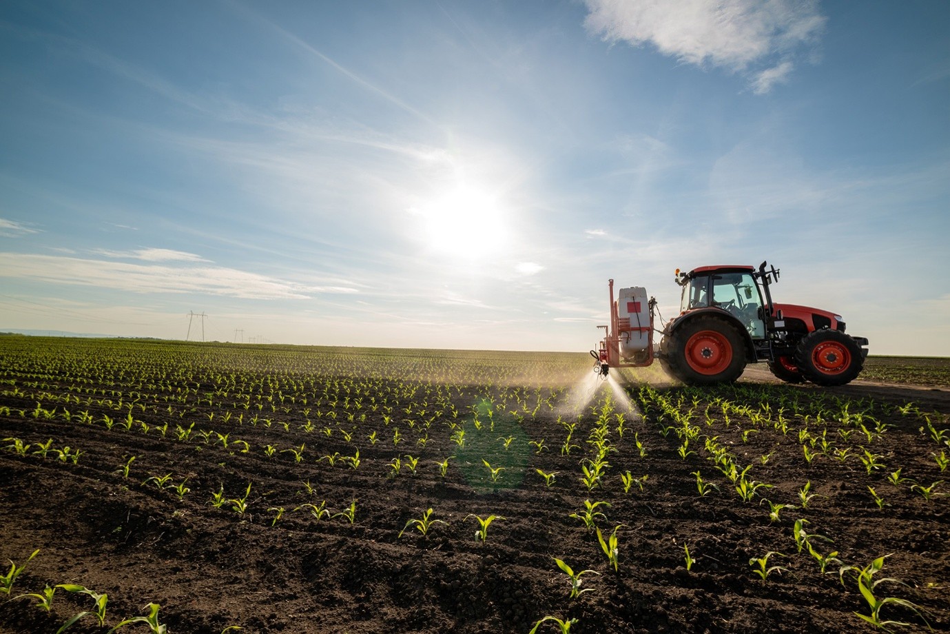 Farming