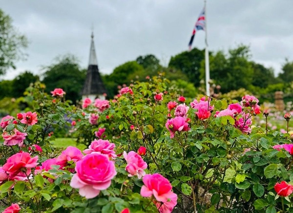 Welland Park East Midlands in Bloom
