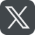 X Social Media Icon