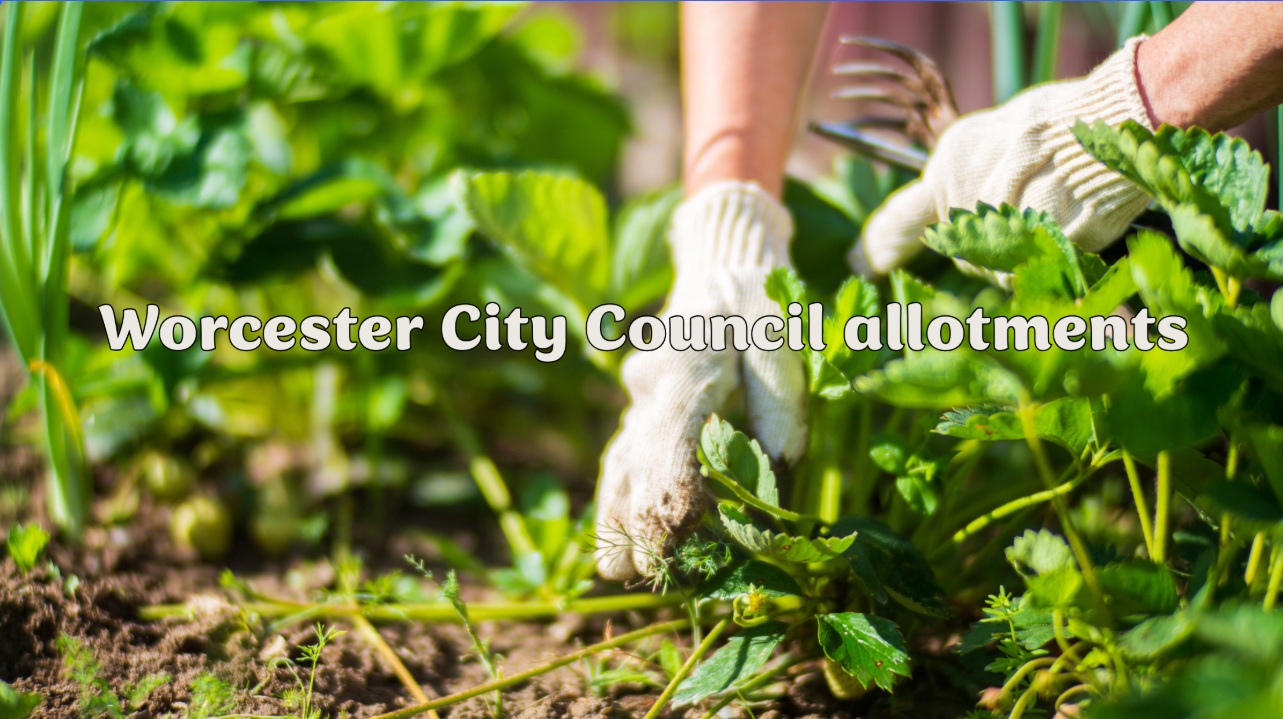 Allotment graphic v2
