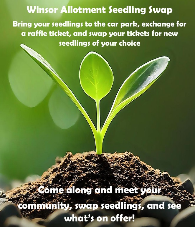 Windsor Avenue seedling swap